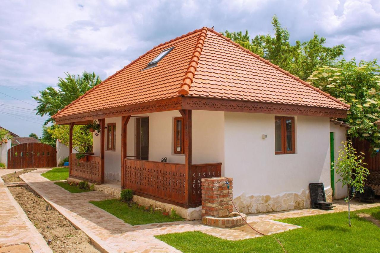 Conacul Grigorescu Ratesti Bagian luar foto