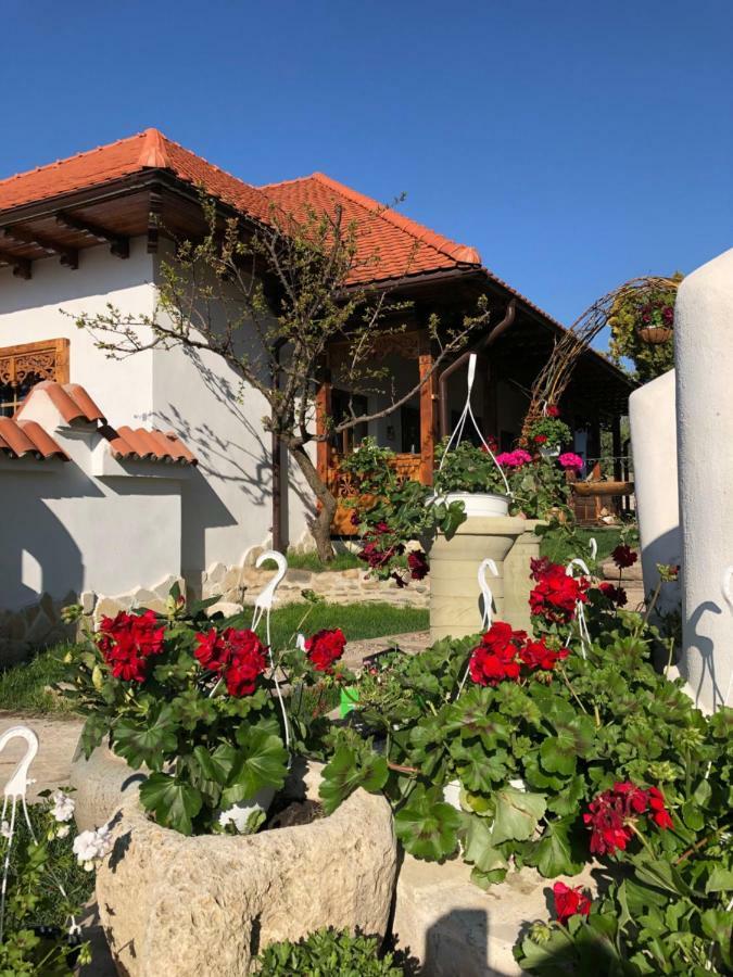 Conacul Grigorescu Ratesti Bagian luar foto